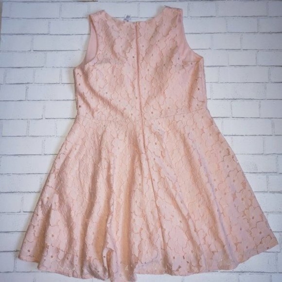Lillian Peach Lace Fit And Flare Dress - Picture 3 of 7